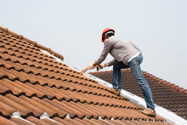 Best Asphalt Shingle Roofing  in New Holland, PA